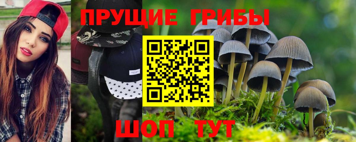 Псилоцибиновые грибы мухоморы  Вход с VPN  Псилоцибиновые грибы мицелий  Жигулёвск 