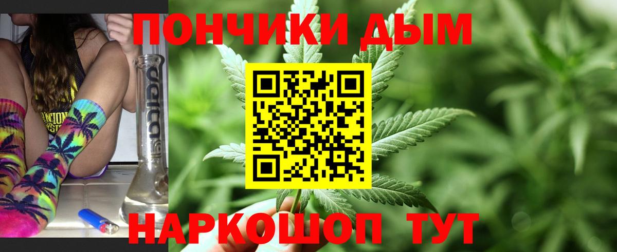 Канабис сатива Жигулёвск